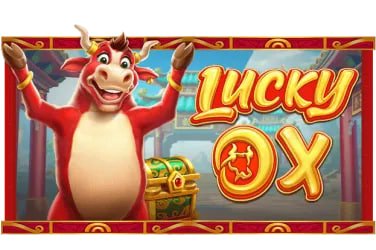 jilii77 Myanmar Online Gaming Platform